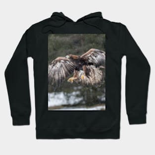 Eagle in the snow. Hoodie